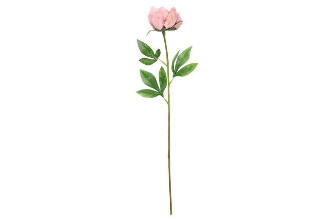 Hovedbilde Peon Light Malva 60cm