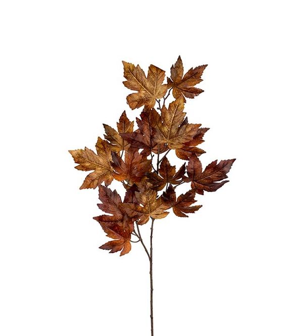 Hovedbilde Lønn 90cm 
