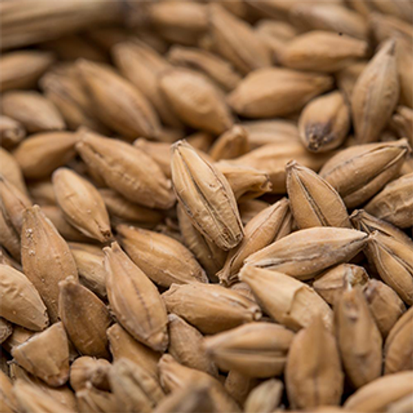 MALT MARIS OTTER PALE ALE 1 kg (EBC57)CRISP