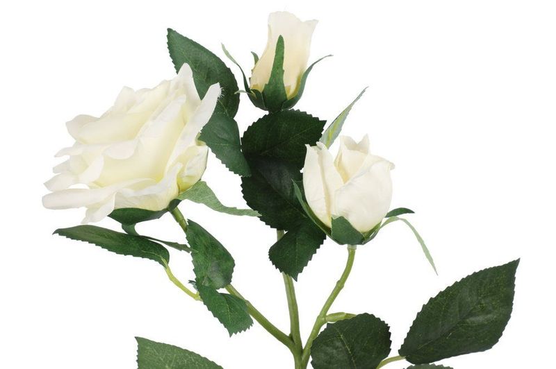 Rose Hvit 63cm