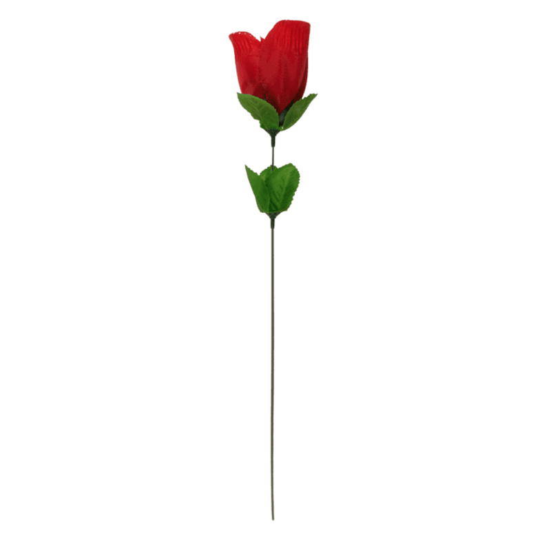 Rose med g-string