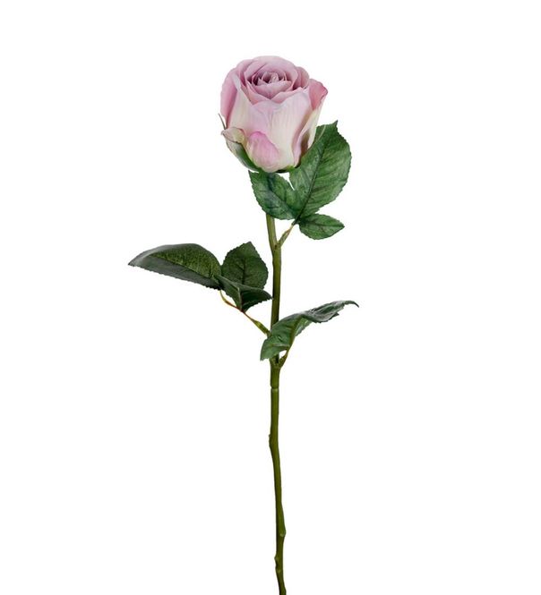Hovedbilde Rose Lilla 50cm 