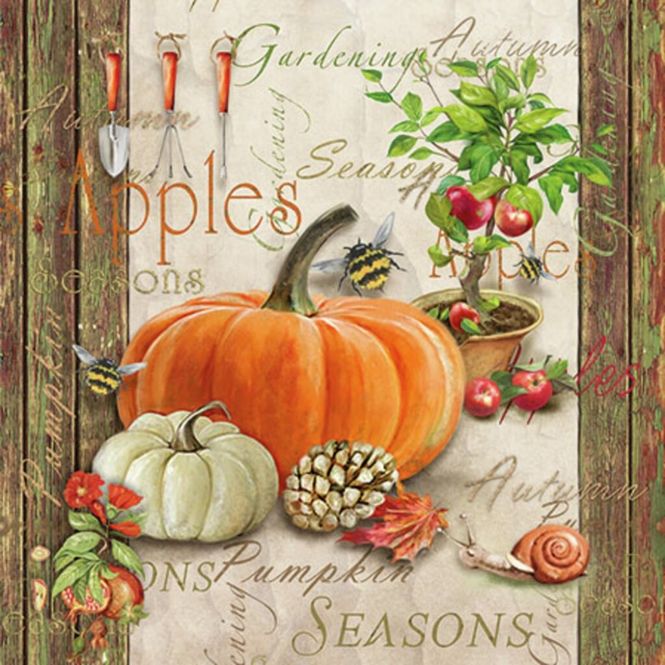 Hovedbilde Kaffe servietter Autumn Gardening