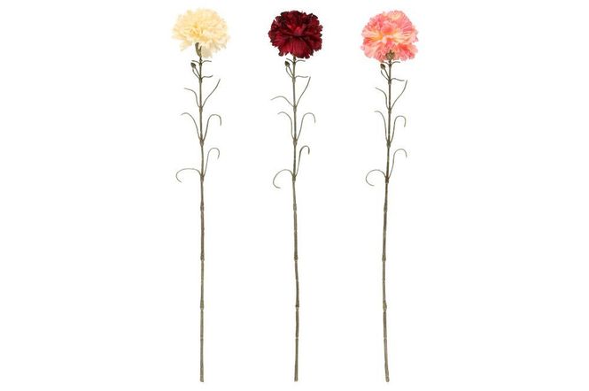 Hovedbilde Nellik 66cm 3ass farger