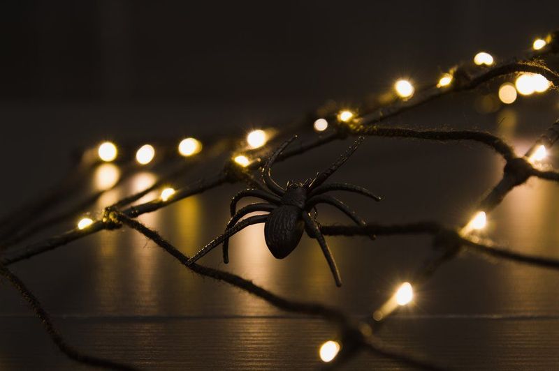 Edderkoppnett LED varmhvit Ø: 80cm
