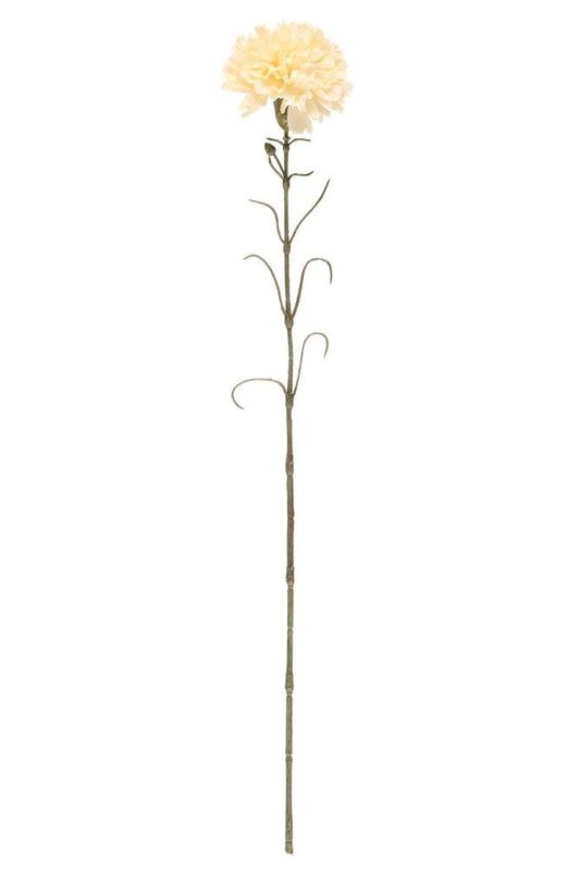 Nellik 66cm 3ass farger