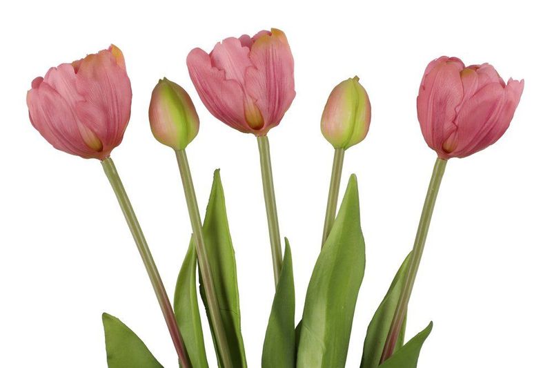 Tulipan bukett 39cm 2ass hvit/rosa